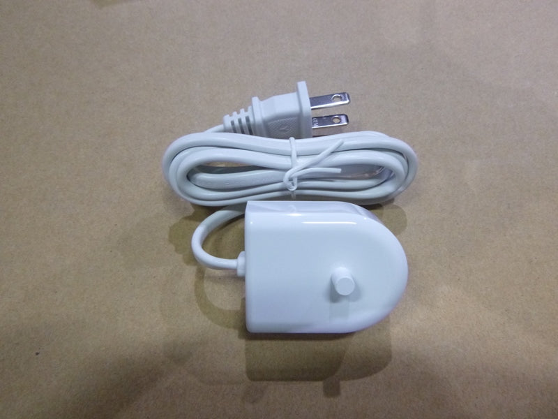 TRAVEL CHARGER JAPAN
